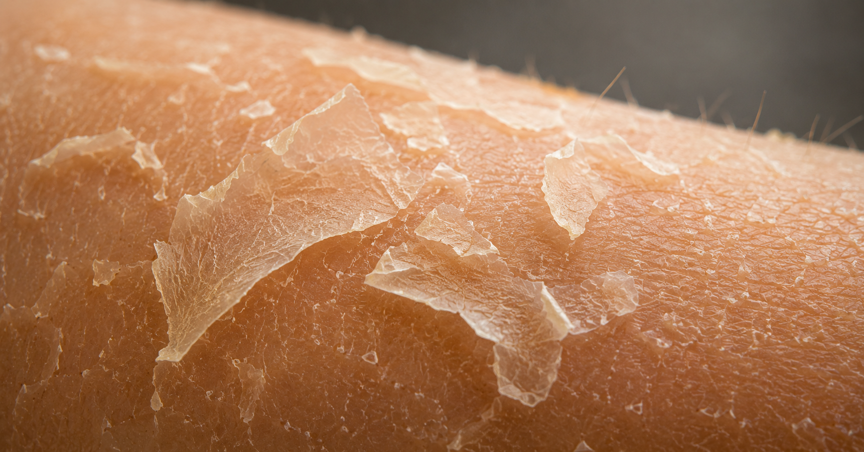 10 Strange Facts About the Human Body You Won't Believe